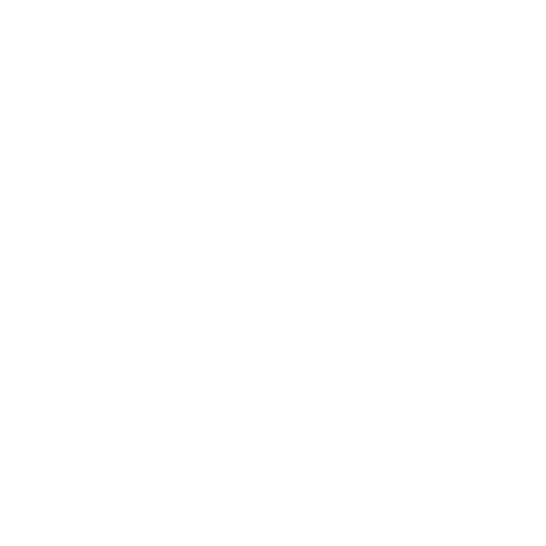 ACE MASTERS